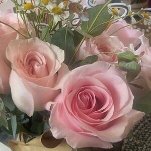 Meet your Posher, Maria